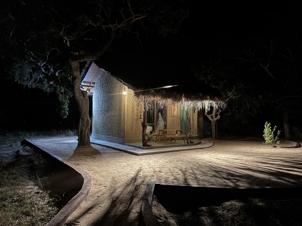 Luxury treehouse nestled in the forest canopy